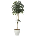 光触媒 人工観葉植物 造花 デザインパキラ1.8 (高さ180cm) (2009P310)