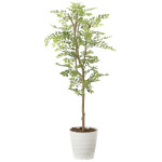 光触媒 人工観葉植物 造花 ゴールデンリーフ1.25 (高さ125cm) (2013R210)