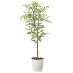 光触媒 人工観葉植物 造花 ゴールデンリーフ1.25 (高さ125cm) (2013R210)