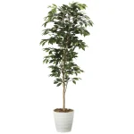 光触媒 人工観葉植物 造花 ベンジャミン