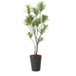 光触媒 人工観葉植物 造花 フレッシュドラセナ1.45 (高さ145cm) (2017A300)