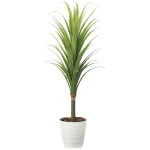 光触媒 人工観葉植物 造花 ドラセナ1.8(ポリ製) (高さ180cm) (2019A350)