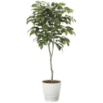 光触媒 人工観葉植物 造花 コーヒーツリー1.8 (高さ180cm) (2020A580)