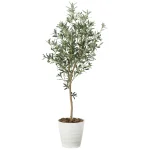 光触媒 人工観葉植物 造花 オリーブツリ- 1.6 (高さ160cm) (2022P335)