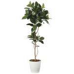 光触媒 人工観葉植物 造花 ゴムの木1.8 (高さ180cm) (2024P380)
