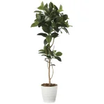 光触媒 人工観葉植物 造花 ゴムの木1.8 (高さ180cm) (2024P380)