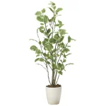 光触媒 人工観葉植物 造花 ポリシャス1.15 (高さ115cm) (2028A180)