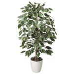 光触媒 人工観葉植物 造花 ゴールデンフィカス 1.0 (高さ100cm) (202A150)