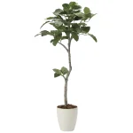 光触媒 人工観葉植物 造花 ベンガル菩提樹1.35 (高さ135cm) (2031Ｋ255)