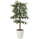 光触媒 人工観葉植物 造花 アルデシア(万両)