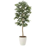 光触媒 人工観葉植物 造花 アルデシア(万両)1.3 (高さ130cm) (2033A200)