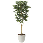 光触媒 人工観葉植物 造花 アルデシア(万両)1.6 (高さ160cm) (2034A300)