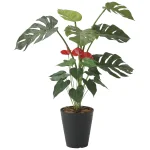 光触媒 人工観葉植物 造花 モンステラ&アンスリューム 95 (高さ95cm) (203H140)