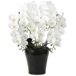 光触媒 人工観葉植物 造花 フレッシュ胡蝶蘭 5本立W (高さ72cm) (2044P220)