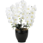 光触媒 人工観葉植物 造花 フレッシュ胡蝶蘭 3本立W (高さ66cm) (2045P175)