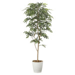 光触媒 人工観葉植物 造花 トネリコ1.8 (高さ180cm) (2094P380)