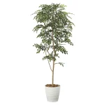 光触媒 人工観葉植物 造花 トネリコ1.8 (高さ180cm) (2094P380)