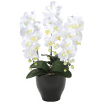 光触媒 人工観葉植物 造花 胡蝶蘭セリースW (高さ66cm) (20K120)