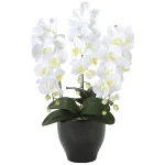 光触媒 人工観葉植物 造花 胡蝶蘭セリースW (高さ66cm) (20K120)