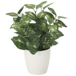 光触媒 人工観葉植物 造花 ポトスM (高さ36cm) (2103K35)