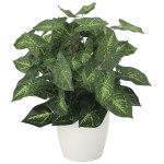 光触媒 人工観葉植物 造花 カラジュームM (高さ36cm) (2104K35)