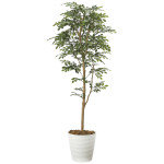 光触媒 人工観葉植物 造花 トネリコ 1.6 (高さ160cm) (2107P320)