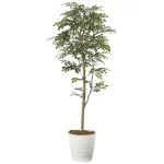 光触媒 人工観葉植物 造花 トネリコ 1.6 (高さ160cm) (2107P320)