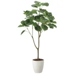 光触媒 人工観葉植物 造花 フィカスウンベラータ1.35 (高さ135cm) (2116R310)