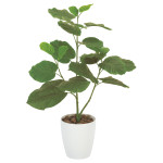 光触媒 人工観葉植物 造花 ウンベラ―タ80 (高さ80cm) (211A100)