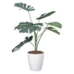 光触媒 人工観葉植物 造花 モンステラ90 (高さ90cm) (213K130)