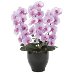 光触媒 人工観葉植物 造花 胡蝶蘭セリースL (高さ66cm) (21K120)