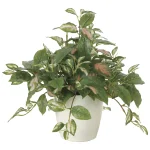 光触媒 人工観葉植物 造花 ツートンホヤ (高さ40cm) (2214A75)