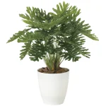 光触媒 人工観葉植物 造花 フレッシュクッカバラM  (高さ45cm) (2215A75)