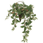 光触媒 人工観葉植物 造花 壁掛けツートンホヤ (高さ70cm) (2218A90)