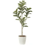 光触媒 人工観葉植物 造花 アルテシマ1.6 (高さ160cm) (2219A280)