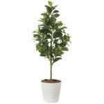 光触媒 人工観葉植物 造花 フレッシュマネーツリー1.15 (高さ115cm) (2222A150)