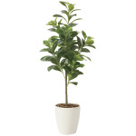 光触媒 人工観葉植物 造花 フレッシュマネーツリー90 (高さ90cm) (2224A120)