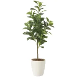 光触媒 人工観葉植物 造花 フレッシュマネーツリー