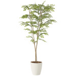 光触媒 人工観葉植物 造花 ライトトネリコ1.6 (高さ160cm) (2231R340)