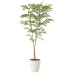 光触媒 人工観葉植物 造花 ライトトネリコ1.6 (高さ160cm) (2231R340)