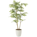 光触媒 人工観葉植物 造花 ライトトネリコ1.0 (高さ100cm) (2232R190)