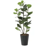 光触媒 人工観葉植物 造花 シーグレープDX1.25 (高さ125cm) (2243R250)