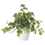 光触媒 人工観葉植物 造花 フレッシュ斑入りアイビー (高さ36cm) (2253A50)