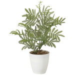 光触媒 人工観葉植物 造花 ねむの木(ポリ製) (高さ50cm) (2254A50)