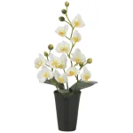 光触媒 人工観葉植物 造花 ミニコチョウラン (高さ46cm) (2260A50)