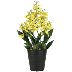 光触媒 人工観葉植物 造花 オンシジュームL (高さ53cm) (2262A70)