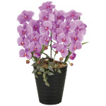 光触媒 人工観葉植物 造花 プリンセス胡蝶蘭L (高さ58cm) (2265R70)