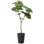 光触媒 人工観葉植物 造花 フレッシュウンベラータ1.35 (高さ135cm) (2294K240)