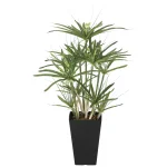 光触媒 人工観葉植物 造花 パピルス60 (高さ60cm) (2296R100)
