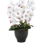 光触媒 人工観葉植物 造花 胡蝶蘭セリースW/AB (高さ66cm) (22K120)